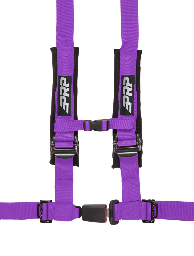 PRP 4.2 Harness | Purple