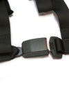 PRP 4.2 Harness - NEW GLORY  *Limited Edition*